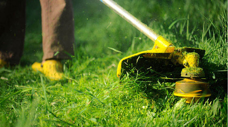 How to Start Lawn Care Services in Virginia Beach