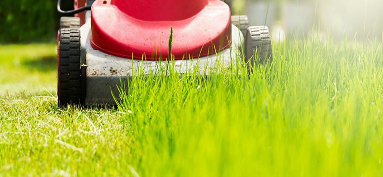 How to Start Lawn Care Services in Virginia Beach