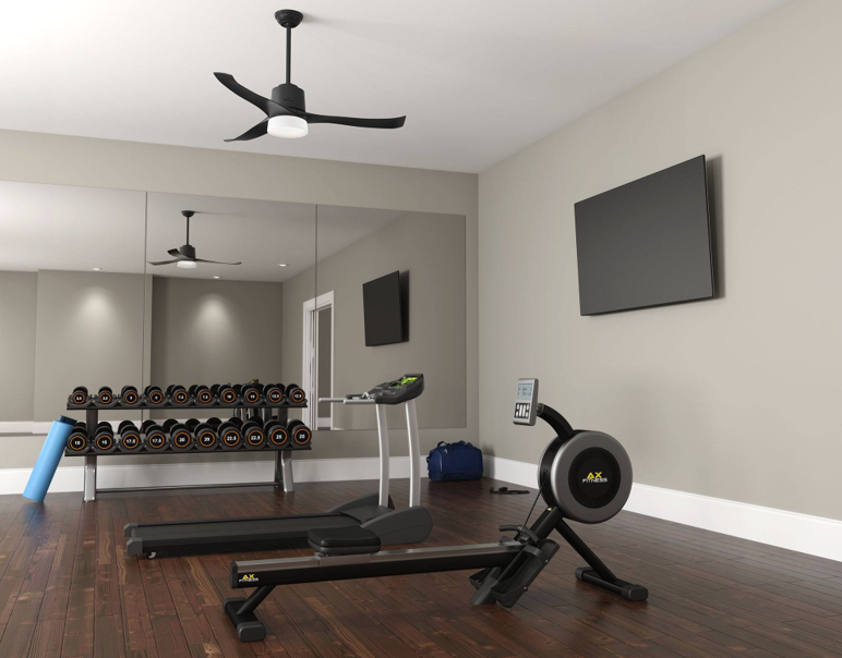 Why Your Basement Home Gym Needs Air Purifiers?